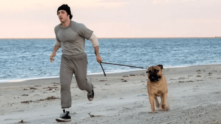 20 Films to Watch at TIFF 2026