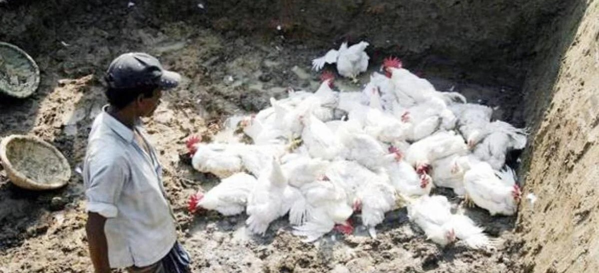 WhatsApp Image 2024-04-05 at 11.23.02 AM