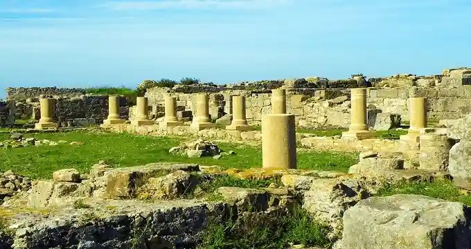 لكسوس (٦) – ملفينا توفيق ابو مراد/لبنان