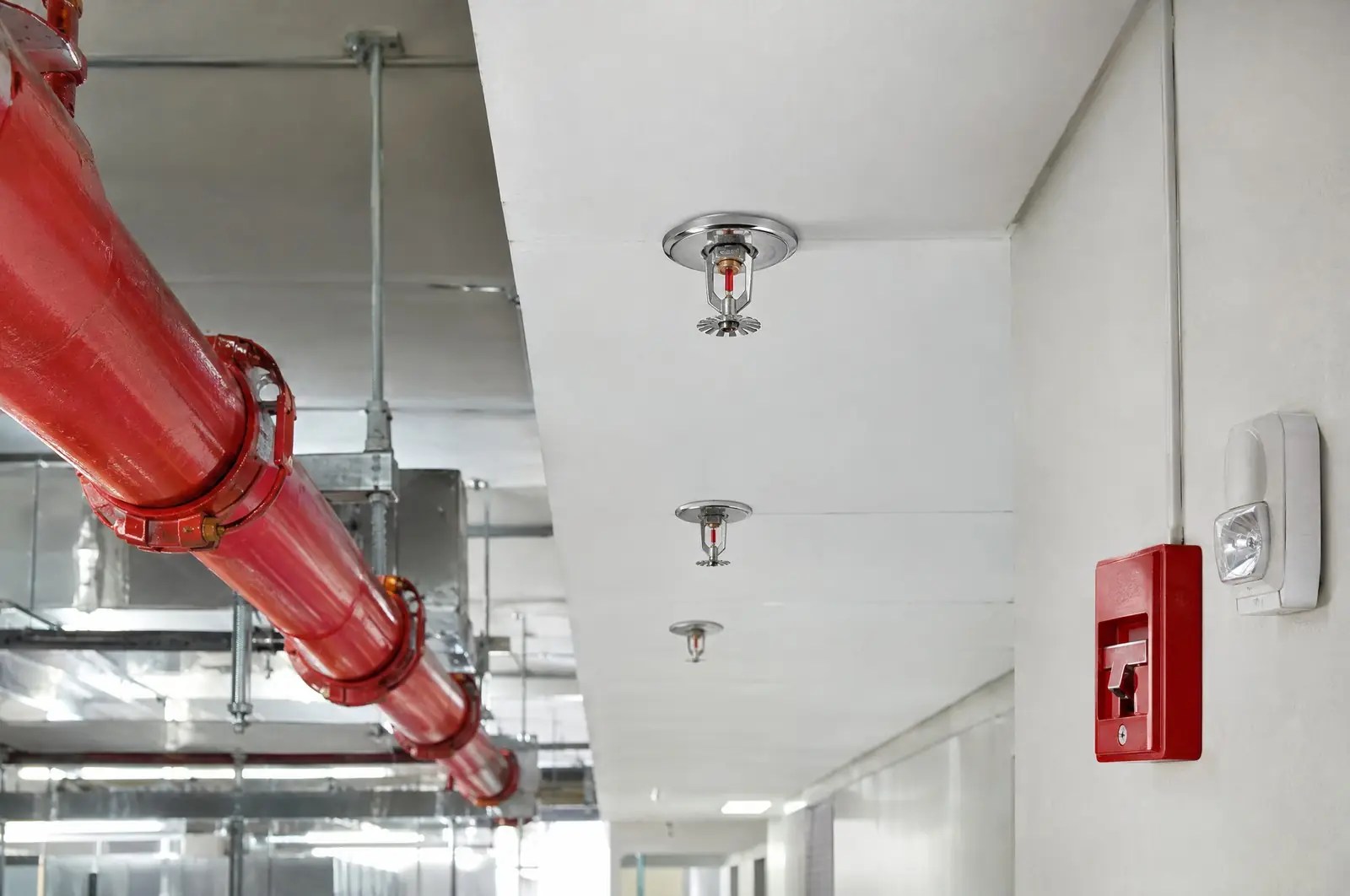 A commercial ceiling space: sprinkler main, sprinkler heads and alarm pull station