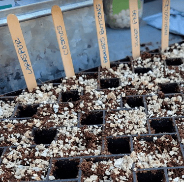 Seed Prep – Ready. Set. Grow!