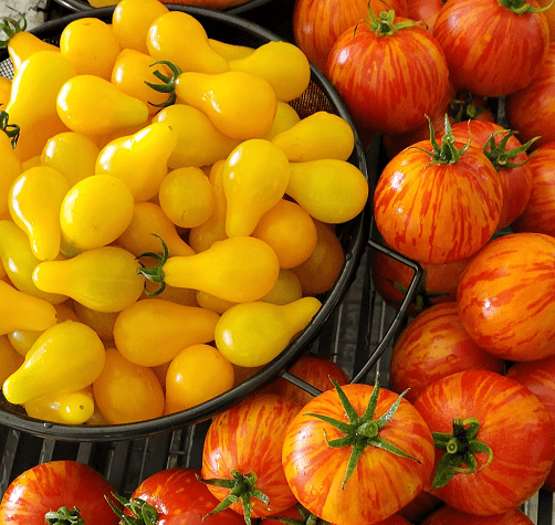 And the “Other Slicer” winner is…