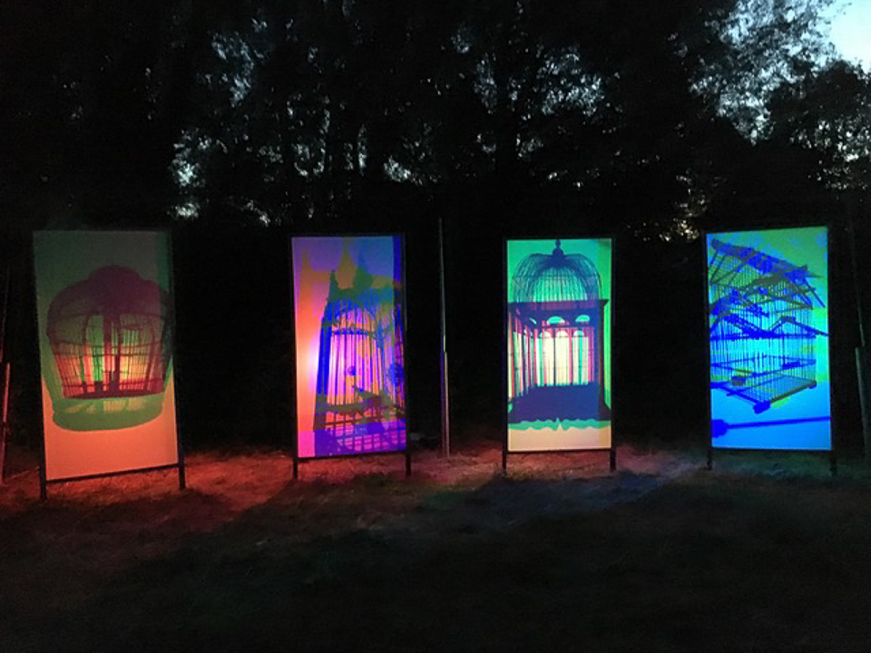 For the birds event ©Julie Lane, Linford Manor Park 22 July 2018