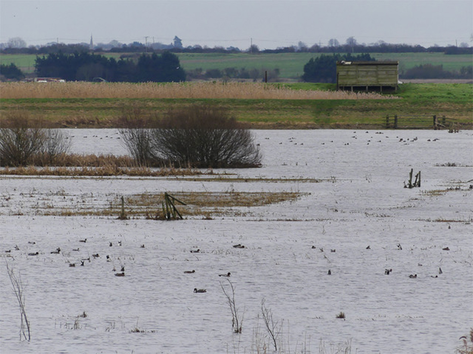 Hide view ©Harry Appleyard, RSPB Ouse Washes 12 January 2019