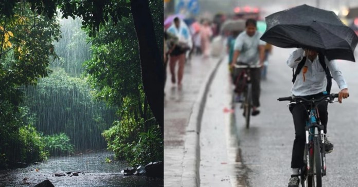 rain