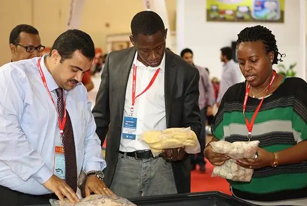 Team Work Tredco Group - Best Abstract Photos in Full HD