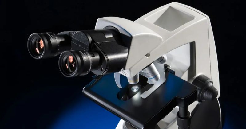 Microscope Maintenance Guide Dispomed - Best City Designs in Ultra HD