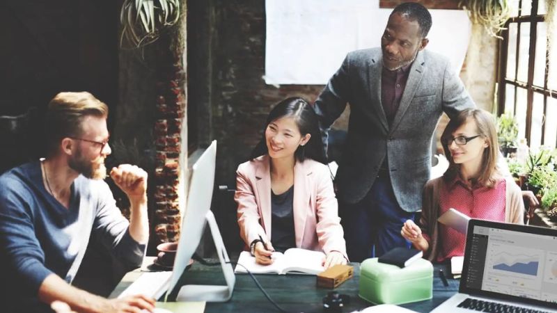 Junior Management Development Programme Omnistack - Premium Vintage Art Gallery - 4K