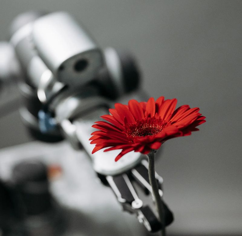 The Importance Of Ai Policies Network Transaction Solutions - Vintage Images - Elegant High Resolution Collection