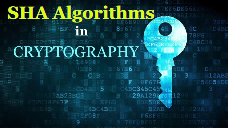 Github Jamishoo Cryptographic Algorithms Sha 1 Sha 2 Sha 3 Sm3 - Nature Art Collection - Ultra HD Quality