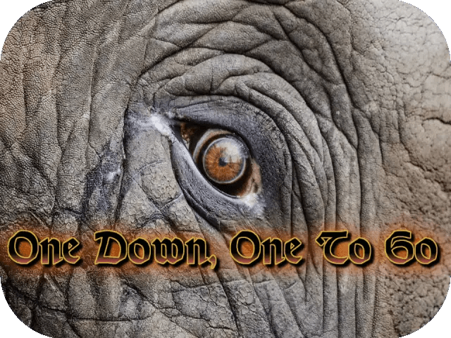 One Down And One To Go Fandom - Colorful Illustration Collection - Desktop Quality