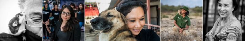 Yumin Chen Unbound Project - Nature Arts - Modern Desktop Collection