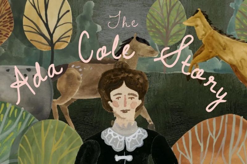 Ada Story - Download Artistic Sunset Picture | 4K