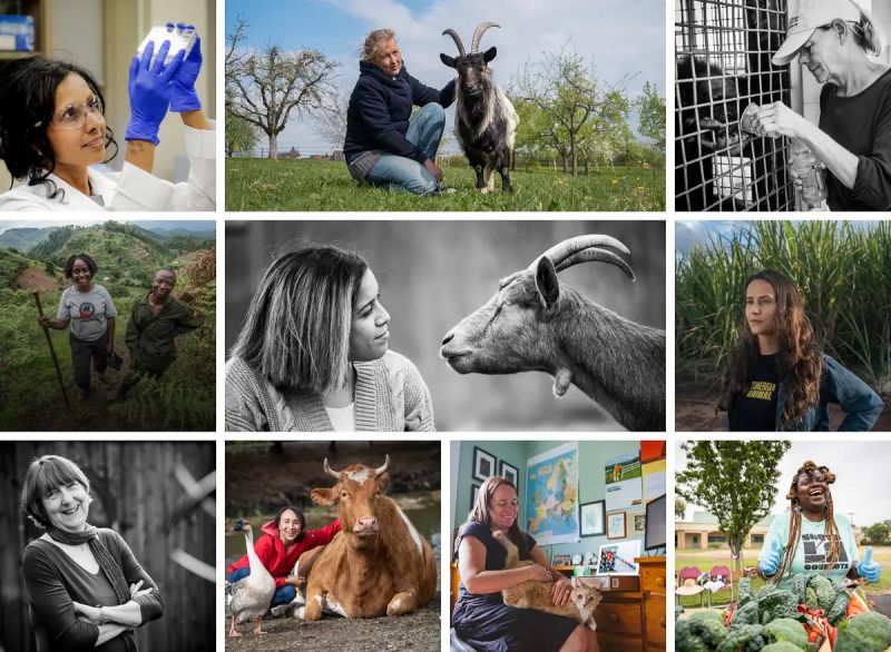 Project Unbound By Jamie C - Beautiful 8K Minimal Textures | Free Download