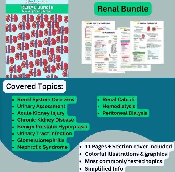 Renal Bundle Nurse Well Versed - Ultra HD Space Design - Desktop