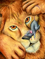 Run utility software like quicken and microsoft office, or directx games, like wizard101. Level 1 2 The Lion And The Mouse The Magic Ladder