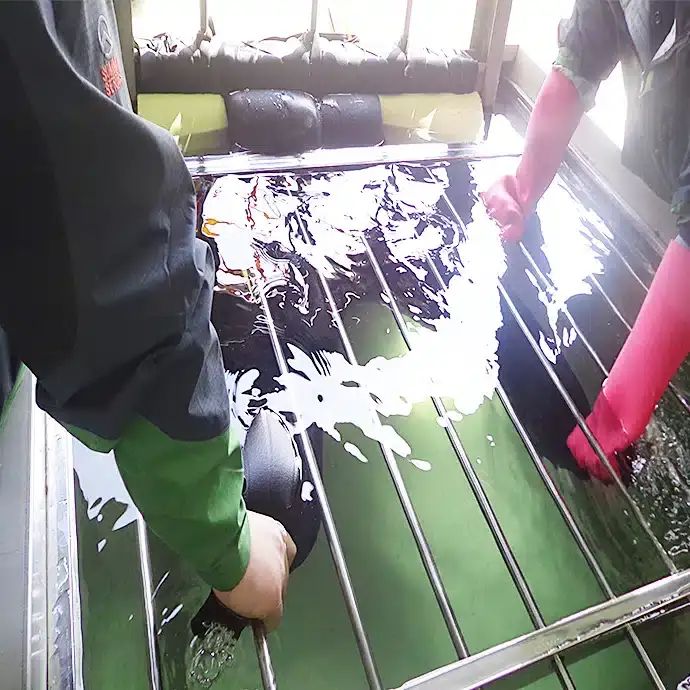 Technical Strength Eco Wetsuit - High Quality HD Vintage Images | Free Download