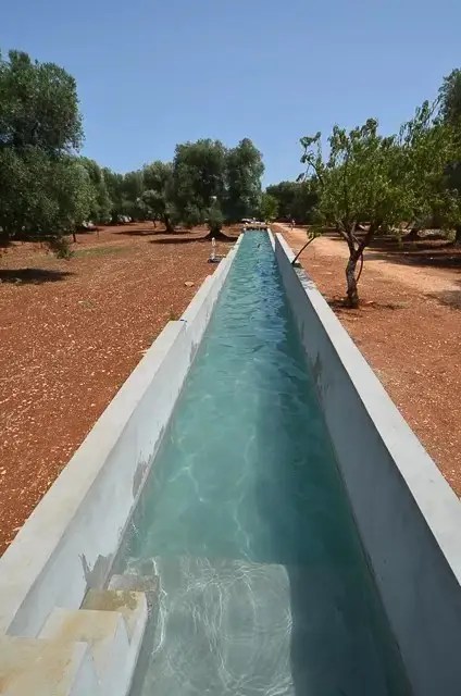 Telecharger Fichier Stl Abreuvoir Pour Oiseaux Piscine Pour Oiseaux Abreuvoir Pour Oiseaux Objet Pour Imprimante 3d Cults