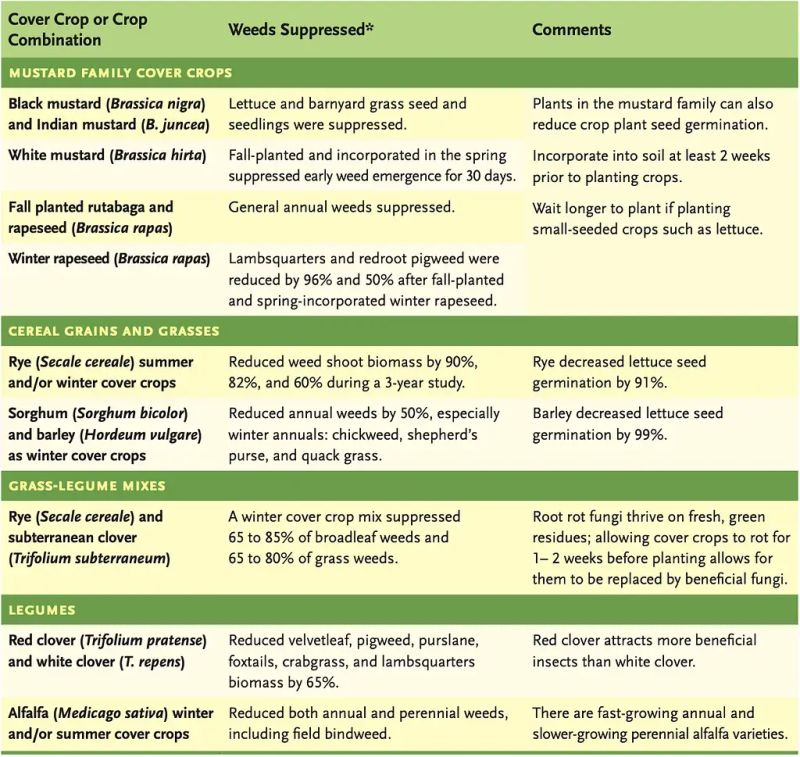 Pdf Weed Suppression By Seven Clover Species - Premium Dark Texture Gallery - Desktop