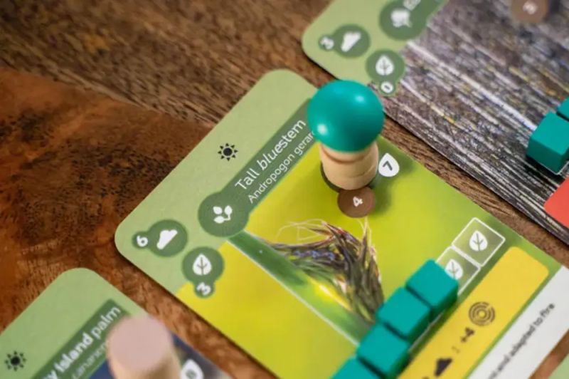 Goth Moth Dryad Games - Ultra HD Ocean Photos for Desktop