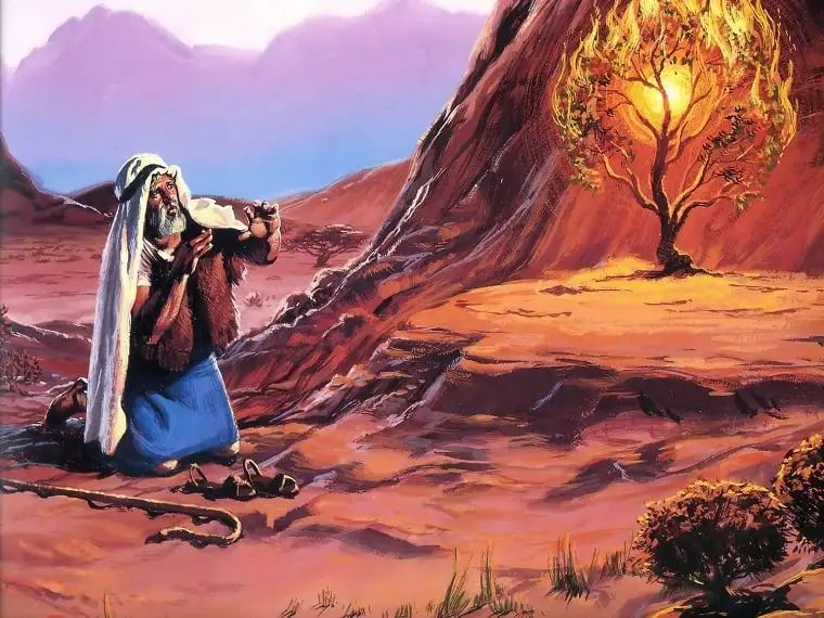 Chief Moses Wikipedia - Premium Abstract Design Gallery - HD