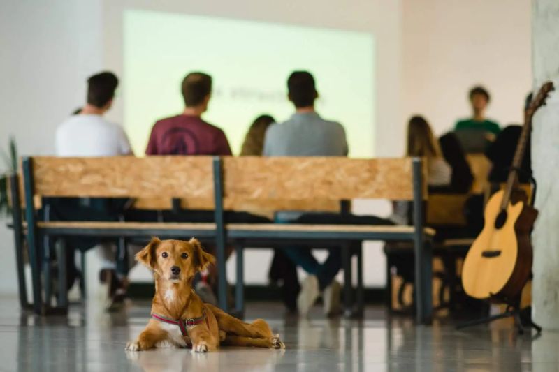 Barcelona Campus Codeworks - Download Classic Ocean Picture | High Resolution