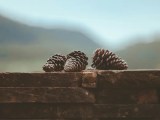 7 Pinecone Vector Database Alternatives Ml Journey