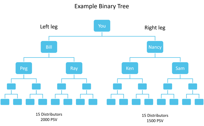 Binary Mlm Plan - Sunset Arts - Creative High Resolution Collection