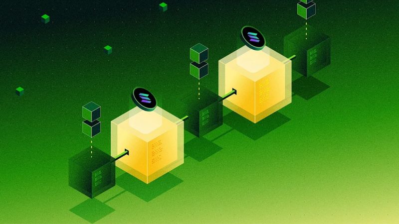 Solana Buidl Chainstack - Premium Nature Texture Gallery - Retina