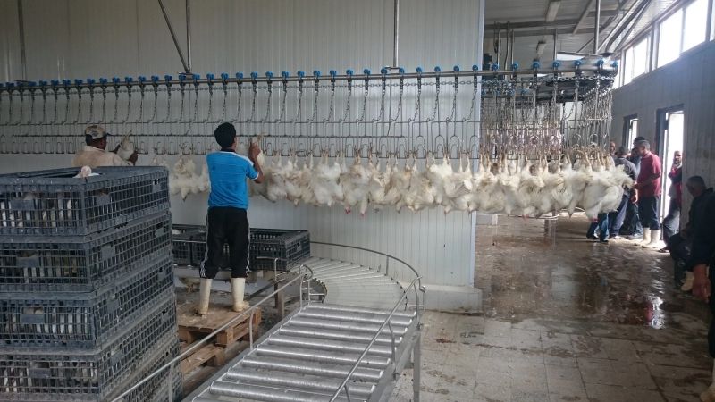 Intercool Food Techology Ltd - Download Elegant Vintage Art | 8K