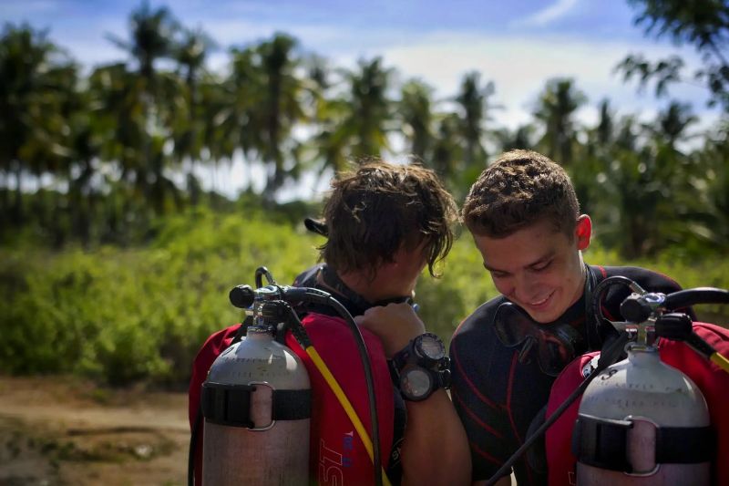 20 Amazing Places To Volunteer With Marine Life While Exploring The World - Best City Backgrounds in Ultra HD