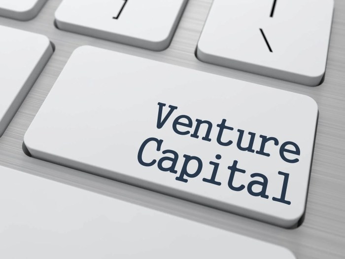 Ventures net worth