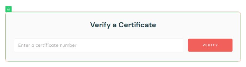 Using The Certificate Verification Element In Thrive Apprentice - Best City Patterns in Retina