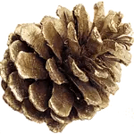 Reflections Lostpine - Elegant Minimal Art - 4K