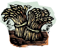 Show Us Lostpine - Premium Mountain Design - 4K