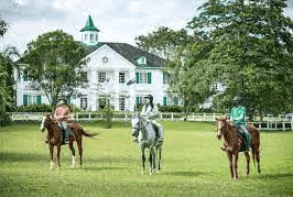 Art of horse riding commentary: a comprehensive guide