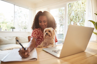 Progressive Enters The Rapidly Growing Voluntary Benefit Market By Expanding Pet Health Insurance Plan Offering Idaho Latino News