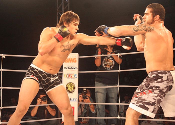 light heavyweight