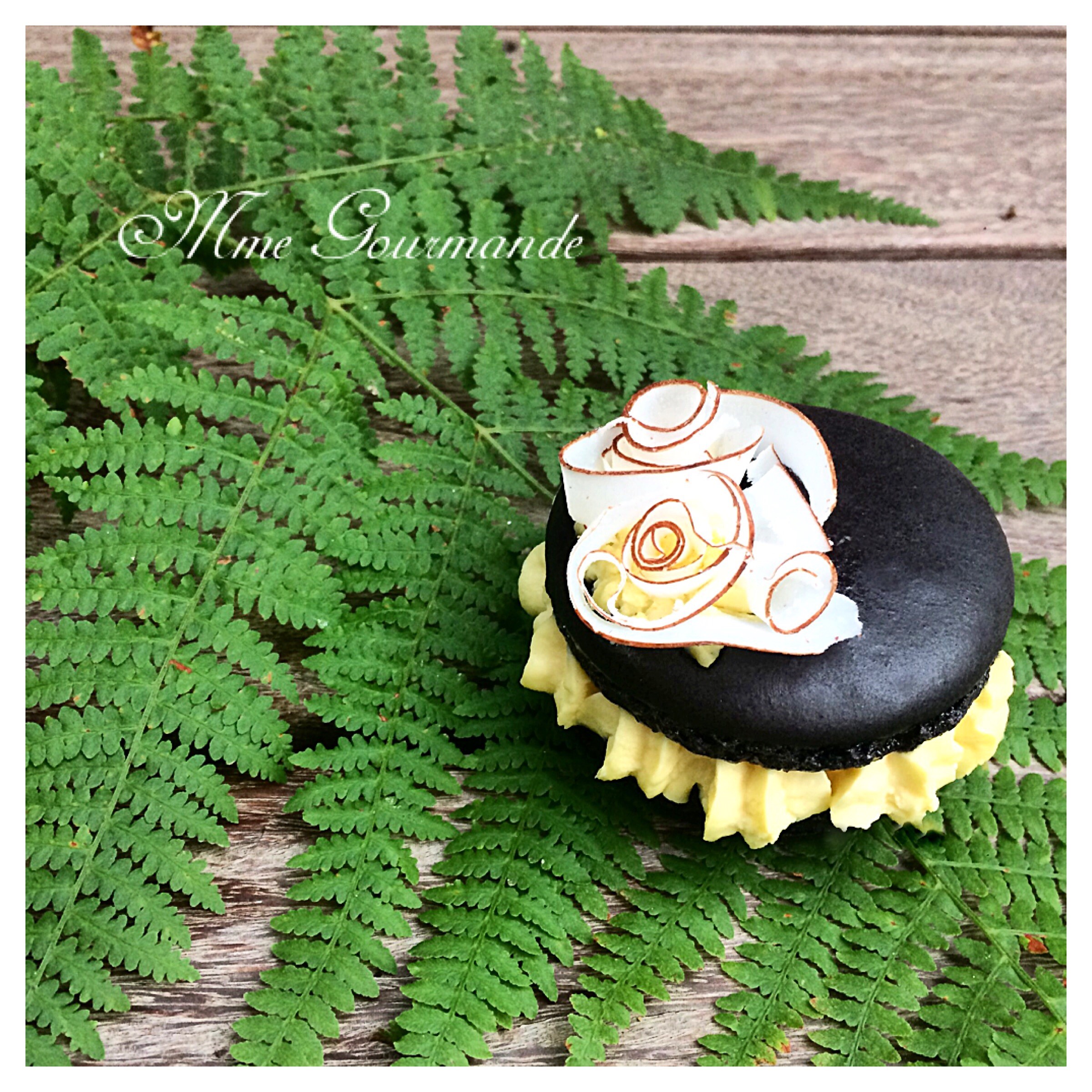 Macaron passion coco