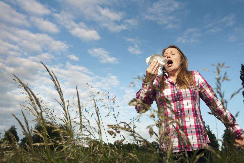 Hay Fever Survival Guide: Expert Tips for Limerick's Pollen Season (2026)