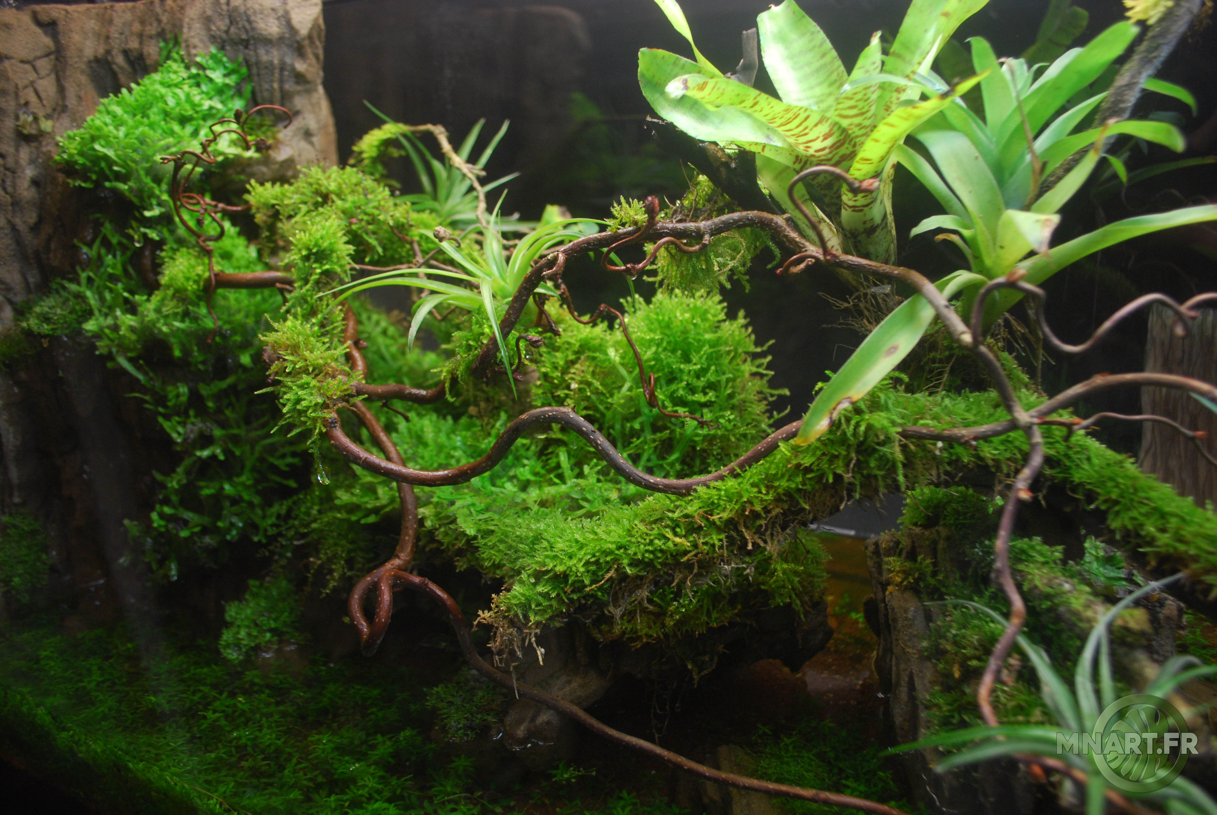 Aquaterrarium 100/50/40