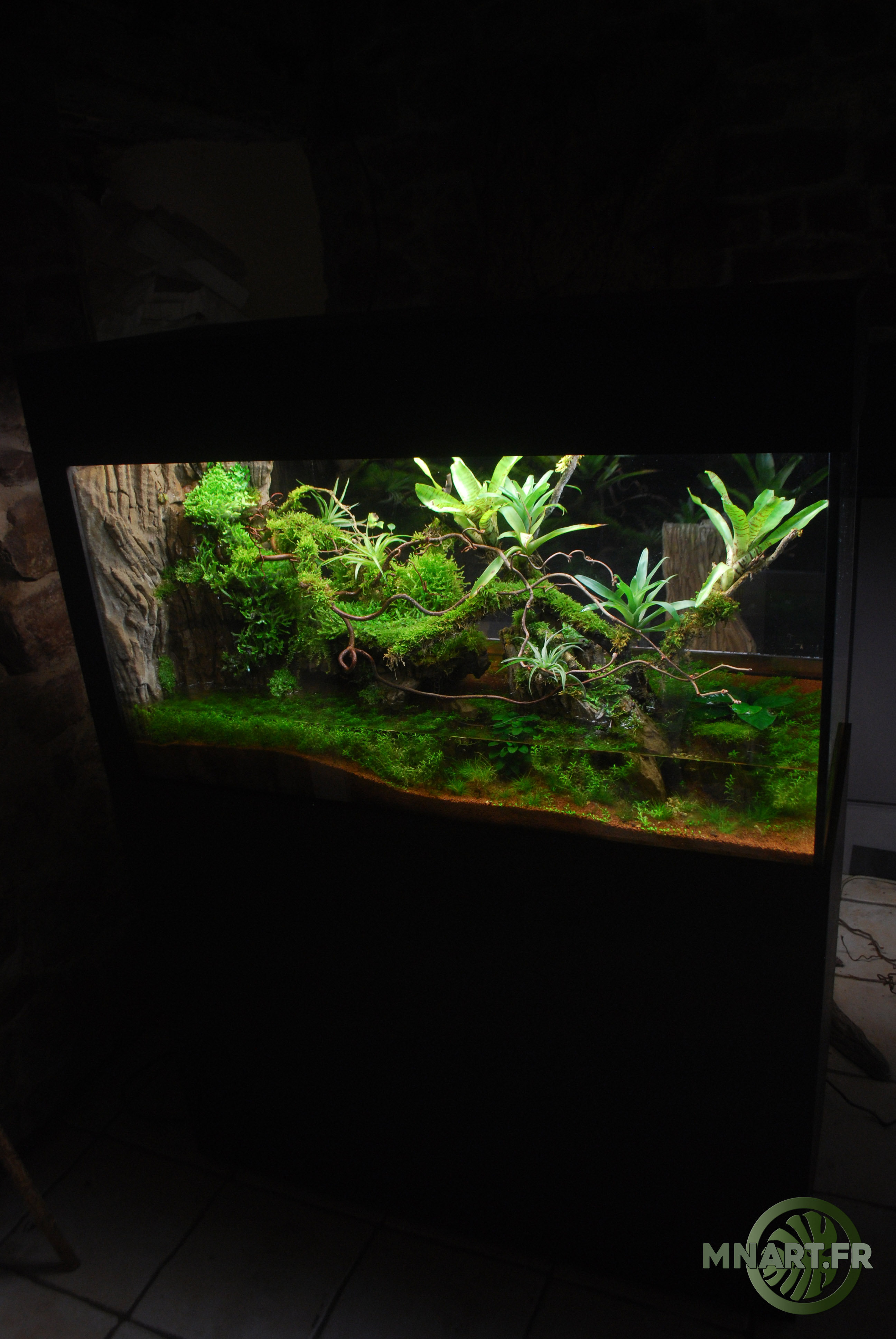Aquaterrarium 100/50/40