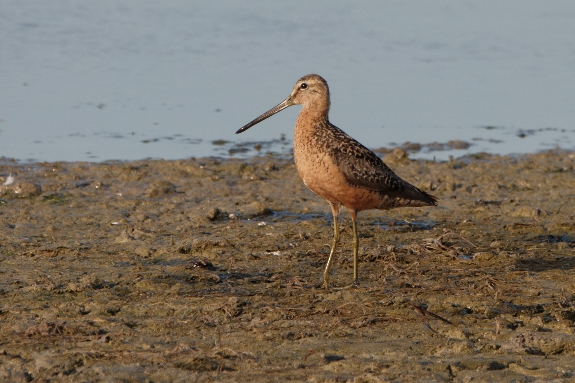 Birding Photos Life Has Meaning