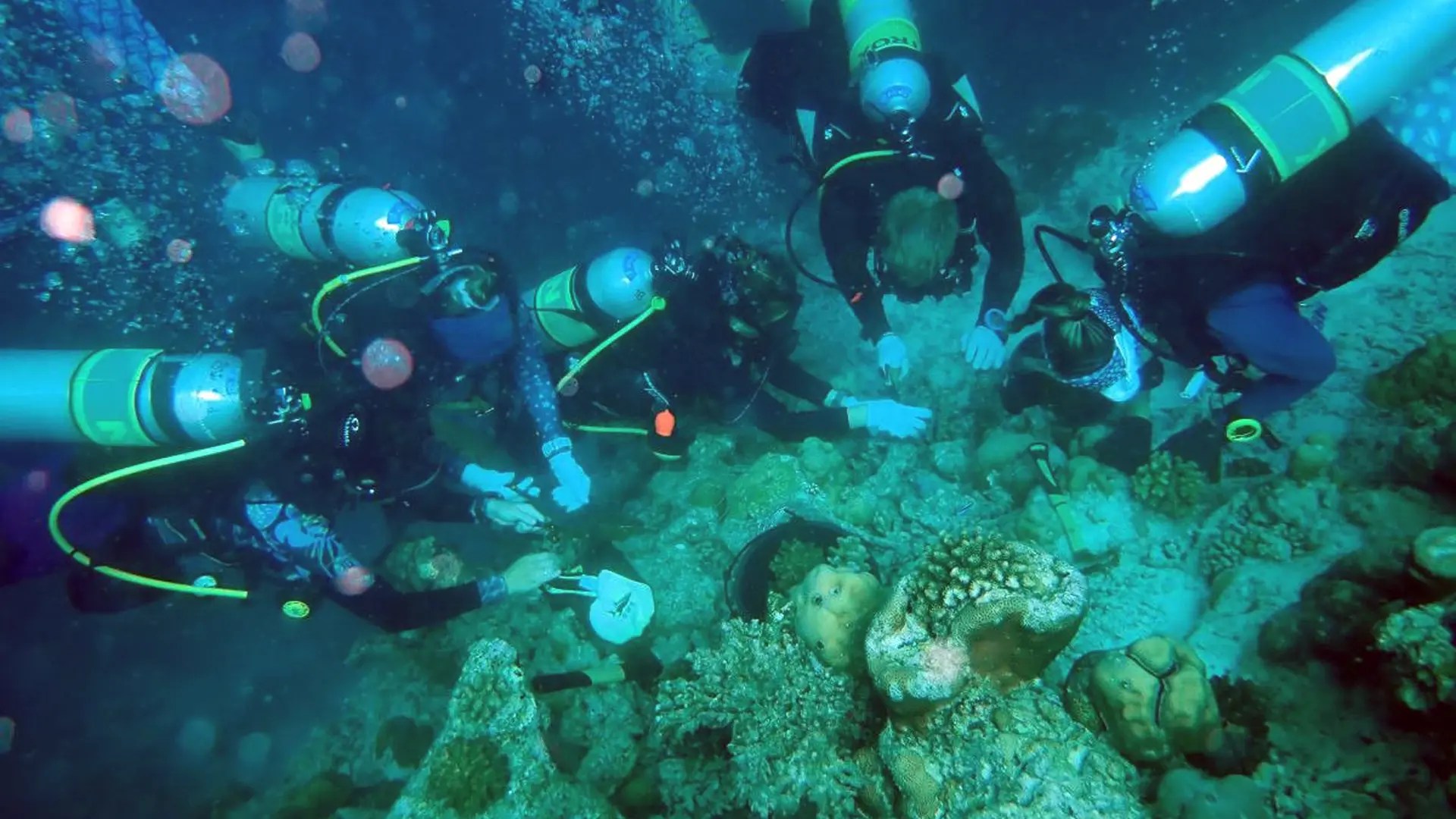 Finolhu Leads Collaborative Coral Restoration Effort in the Baa Atoll, Maldives