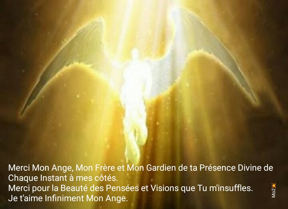 Mon Ange Gardien Humour Dlhumourd