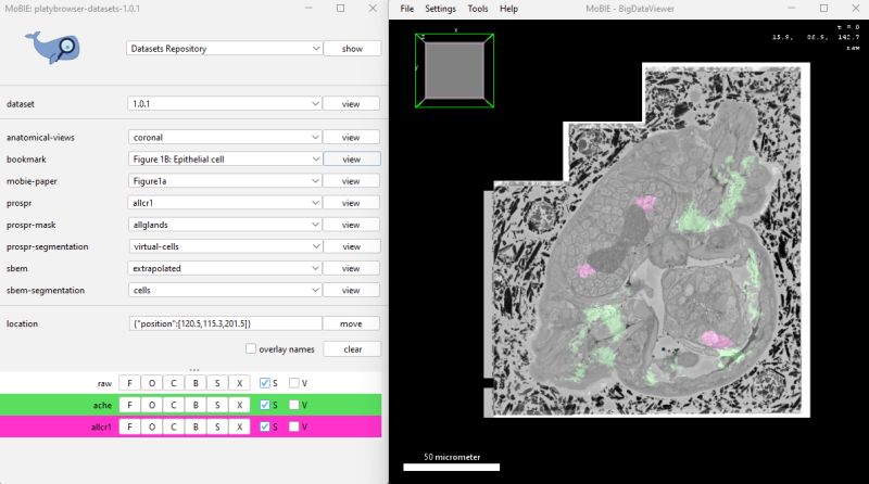 More Features Mobie - Nature Background Collection - 4K Quality