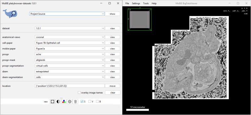 Mobie Specification Mobie - Landscape Wallpaper Collection - Mobile Quality