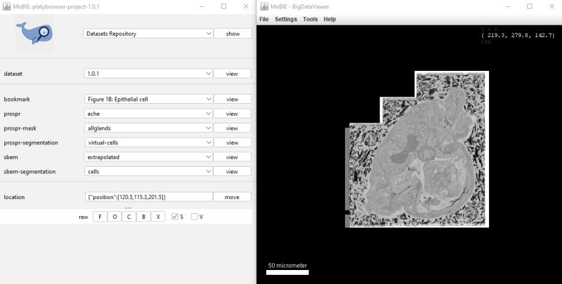 Explore A Project Mobie - Premium Dark Pattern Gallery - 8K