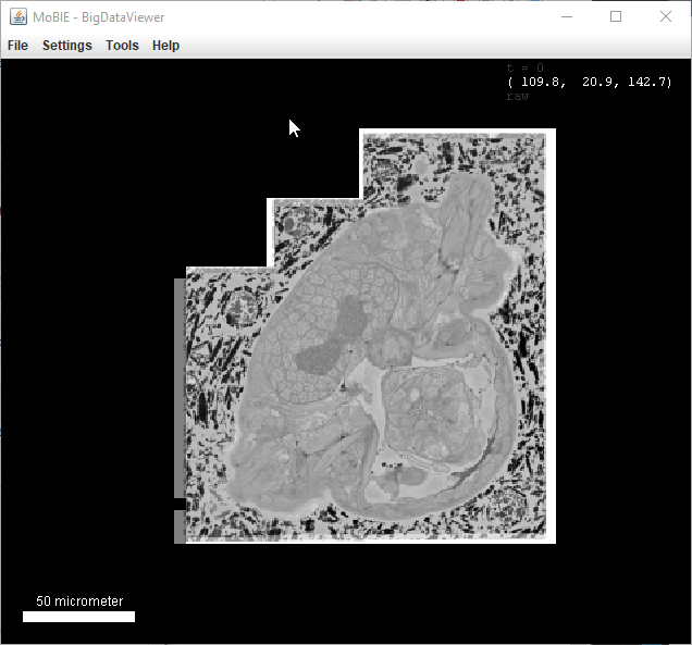 Explore A Project Mobie - Premium Nature Image Gallery - High Resolution