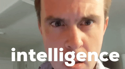 intelligence